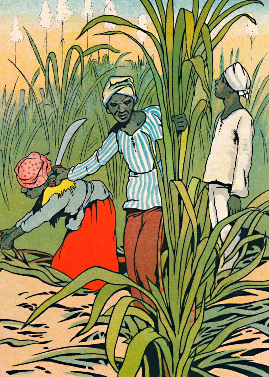 Bei der Arbeit unter den Zuckerrohren, 1912 von Charles Robinson