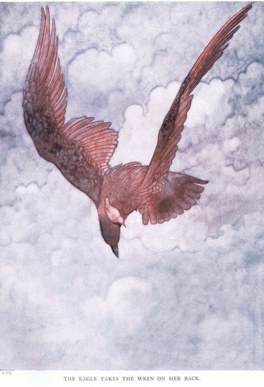 Der Adler nimmt den Zaunkönig auf ihren Rücken von Charles Robinson