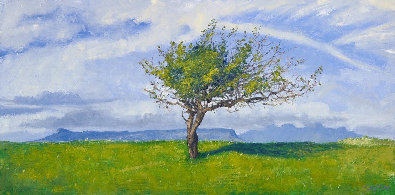 Westküstenbaum, 2015 von Charles Simpson