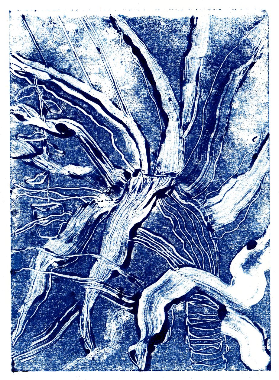 Tintenpflanzen Nr. 2 von Charlotte Orr