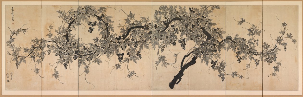 Weinrebe von Choe Seok hwan