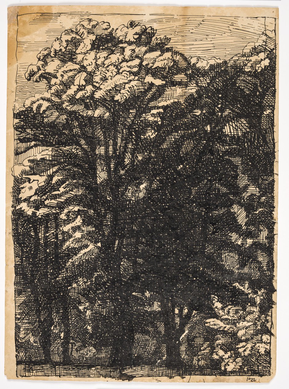 Bäume von Christian Kongstad Petersen