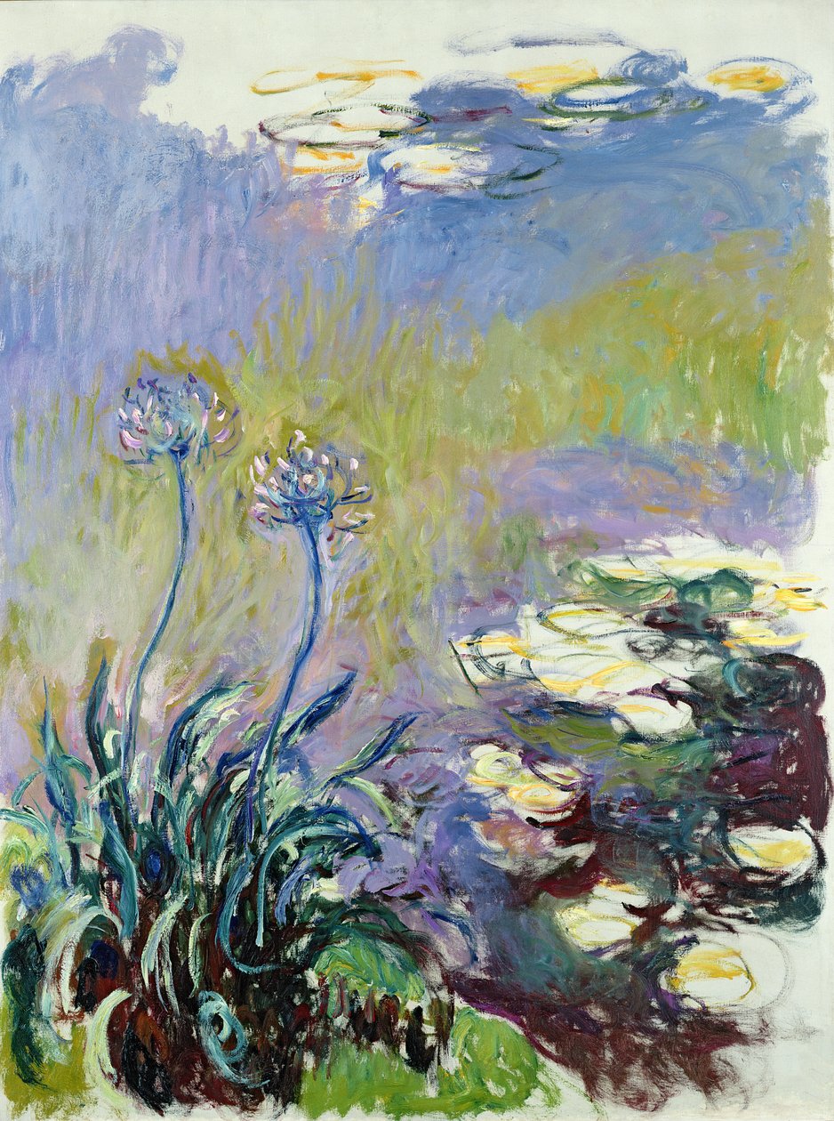 Die Agapanthus, 1914-17 von Claude Monet