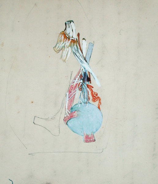 Nervensystem im Kopf einer Katze, 25. Mai 1842 von Claude Bernard