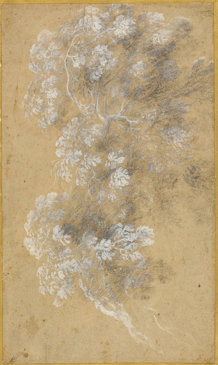 Skizze von Laub und Zweigen von Claude Lorrain