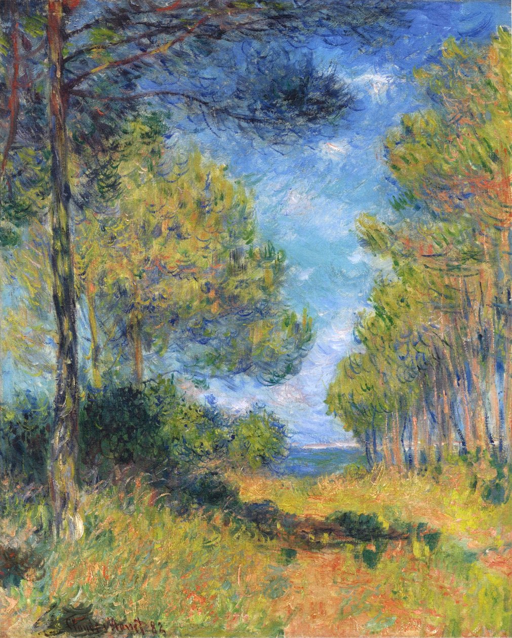 Tannenallee in Varengeville von Claude Monet