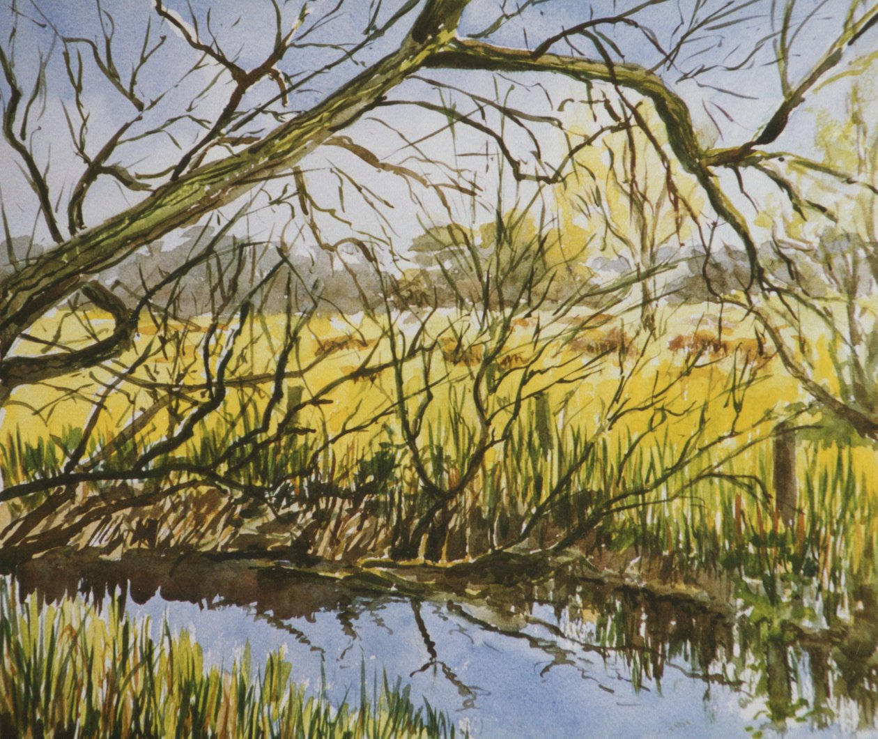Wasserwiesen, Kintbury, früher Mai-Nachmittag von Clive Wilson