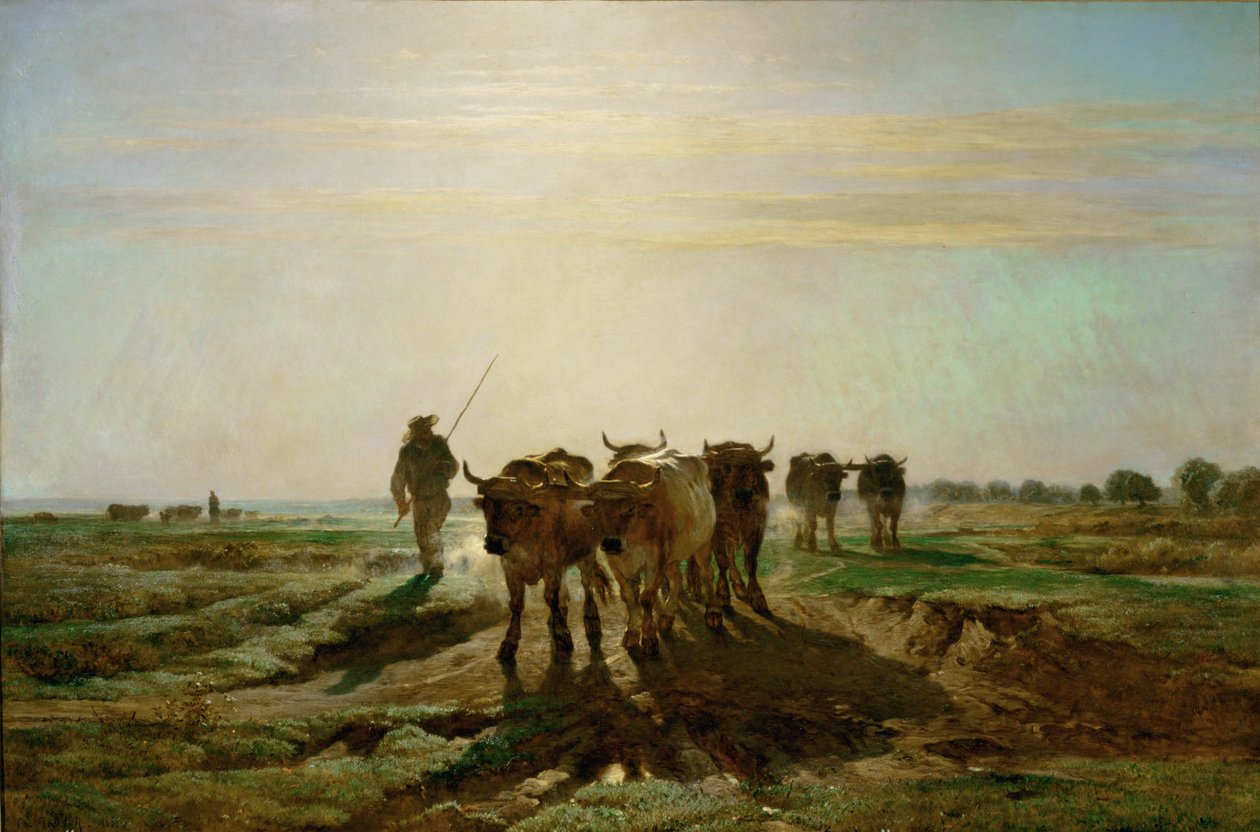 Boeufs se rendant au travail von Constant Emile Troyon