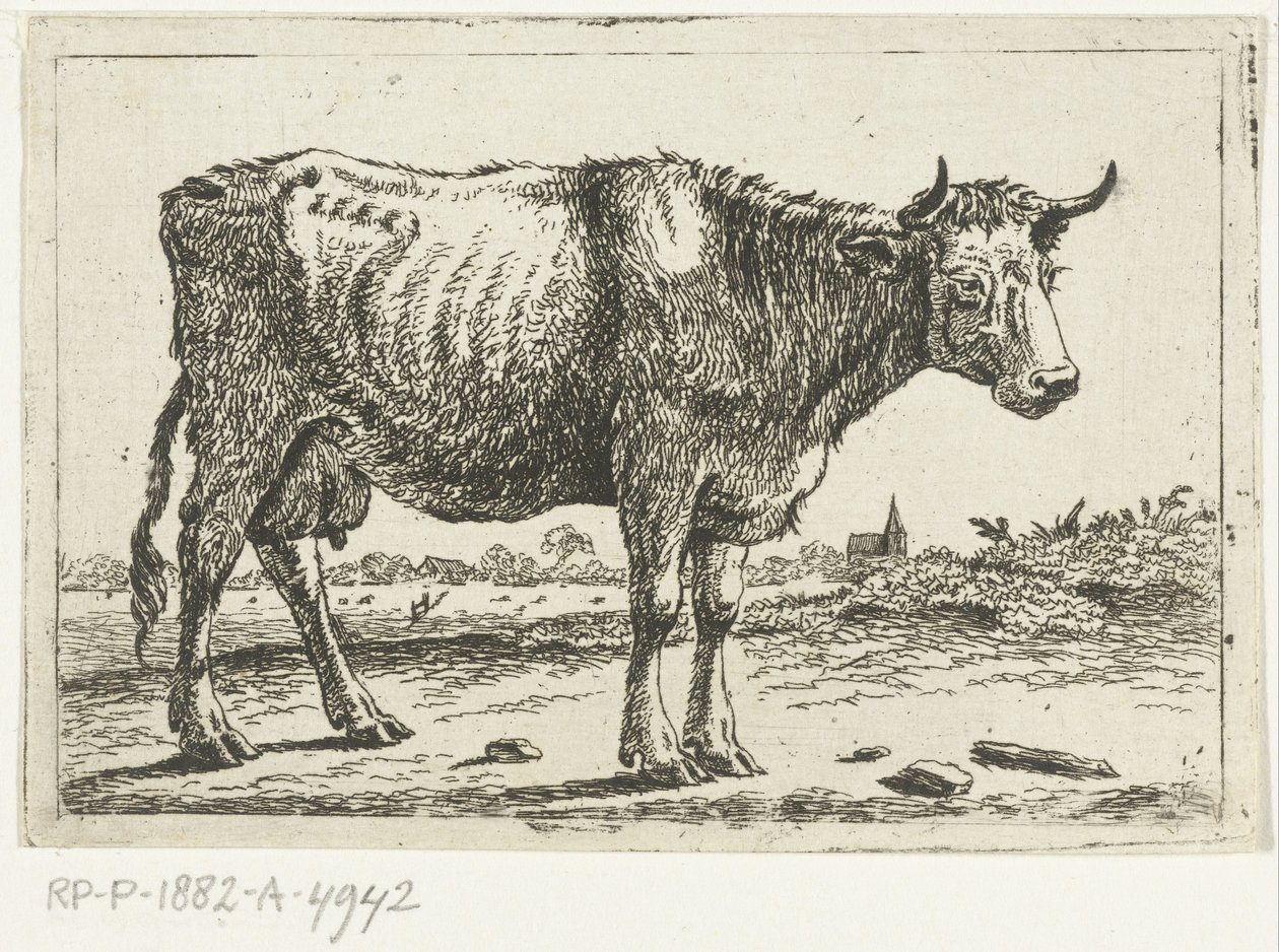 Landschaft mit Kuh von Cornelis  Bisschop