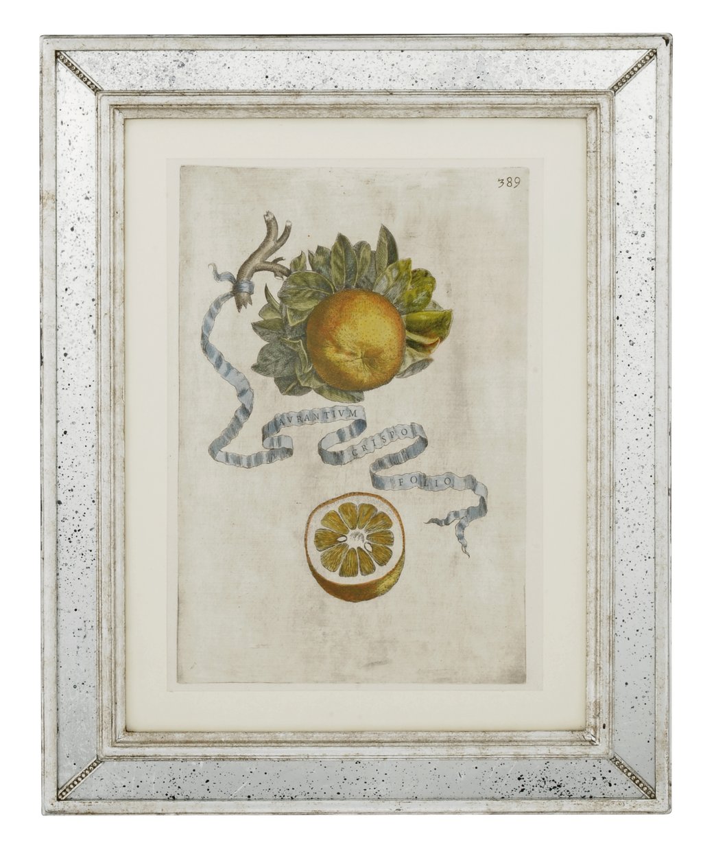 Gekräuseltes Blatt Orange, Tafel 389 aus 