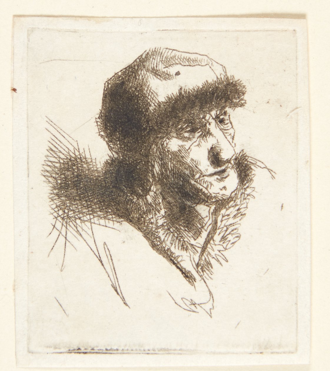 Alte Frau mit Pelzmütze von Cornelis Pietersz Bega
