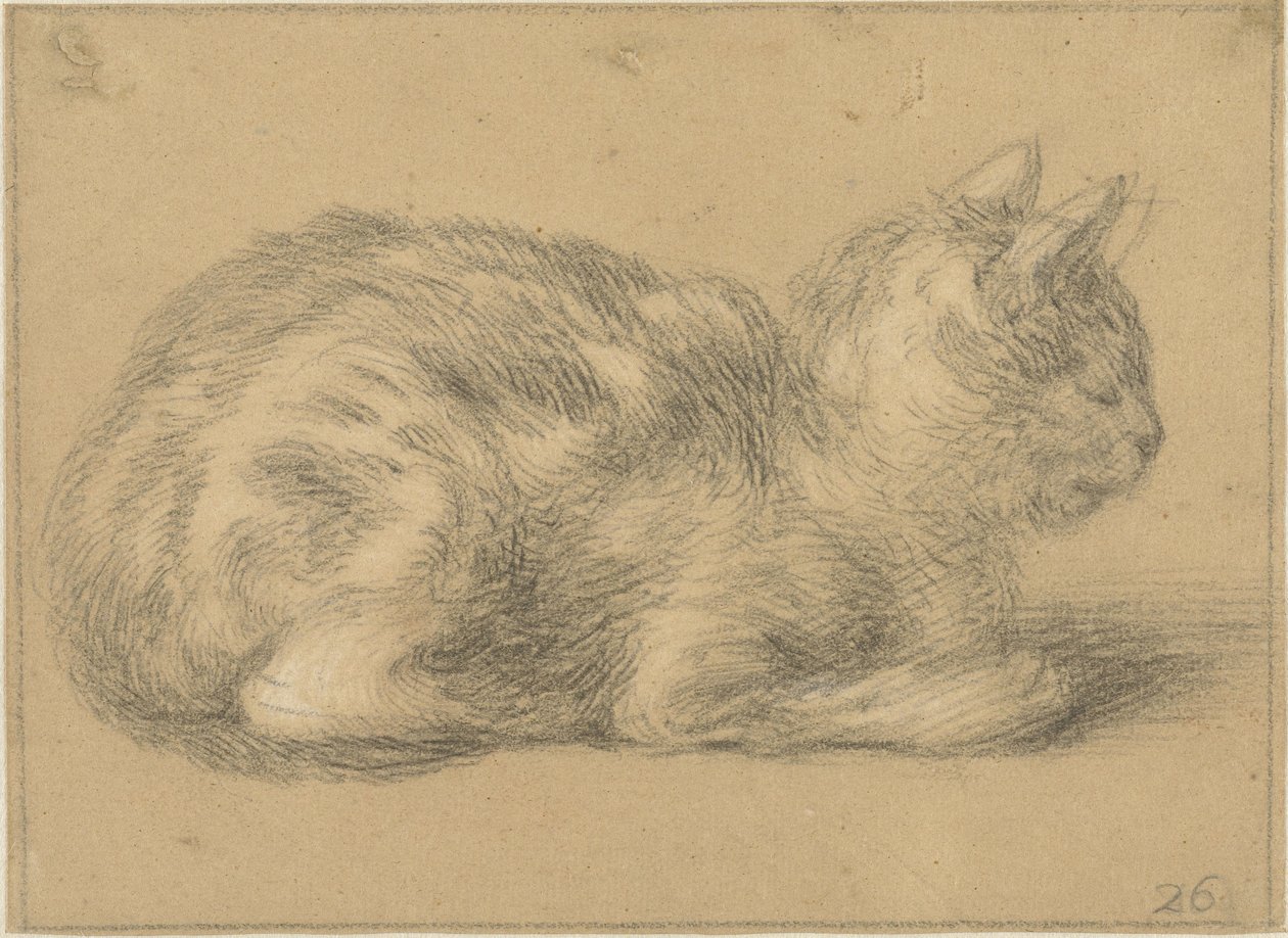 Sitzende Katze, nach rechts von Cornelis Saftleven (possibly)