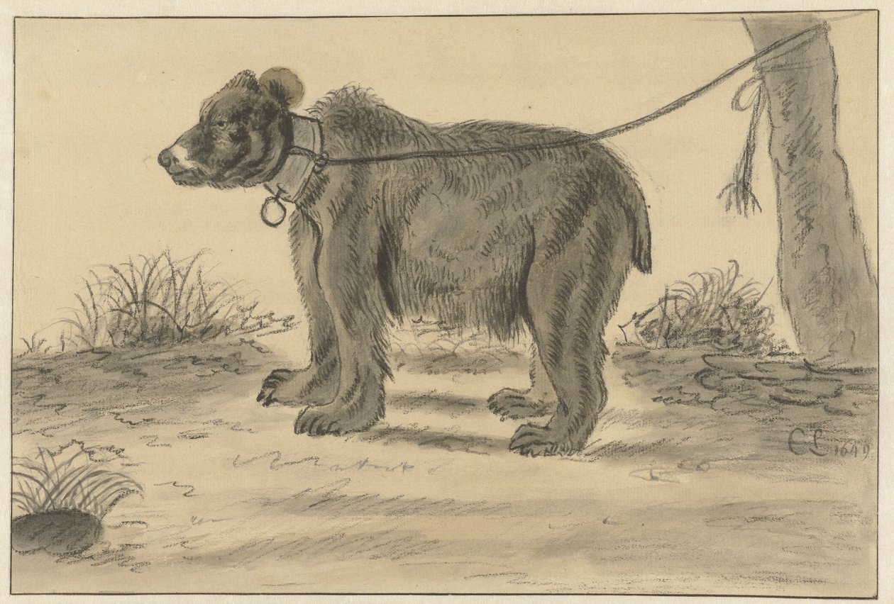 Bär, der an einen Baum gebunden ist von Cornelis Saftleven