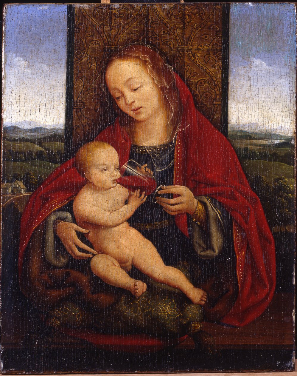 Die Madonna und das Kind auf dem Thron von Cornelis van Cleve