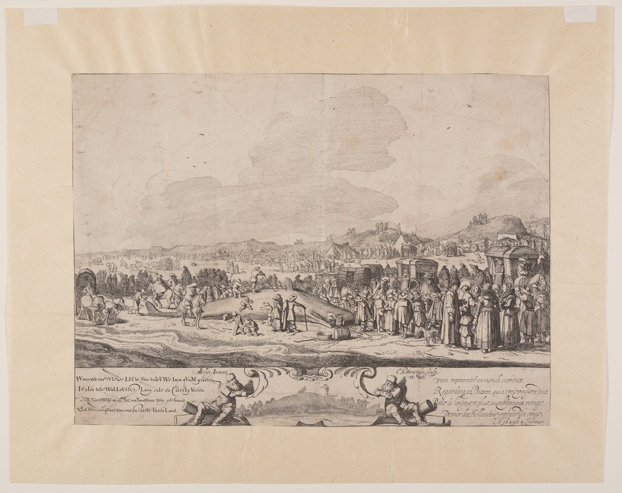 Der gestrandete Pottwal zwischen Noordwijk und Zandvoort von Cornelis van Kittensteyn