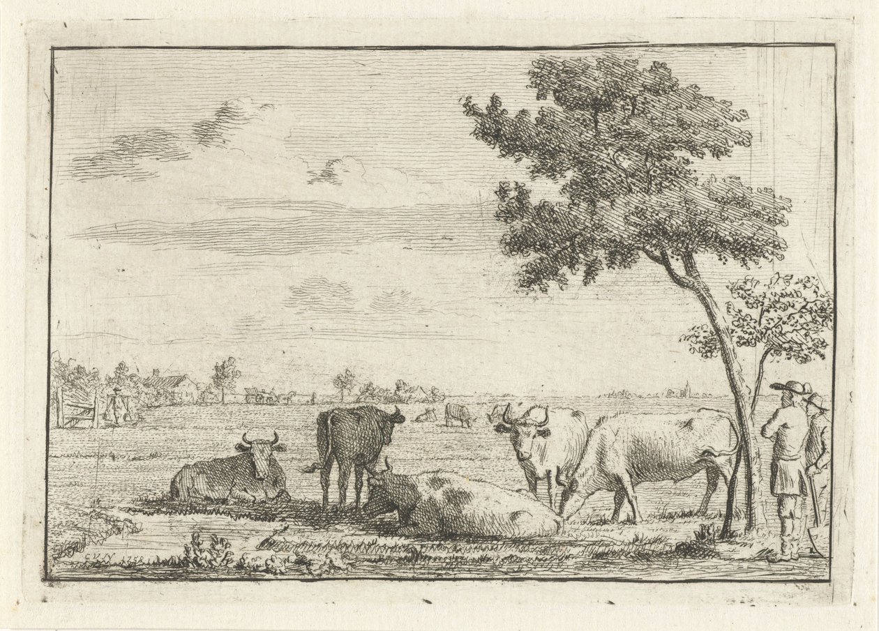 Fünf Kühe auf einer Weide von Cornelis van Noorde