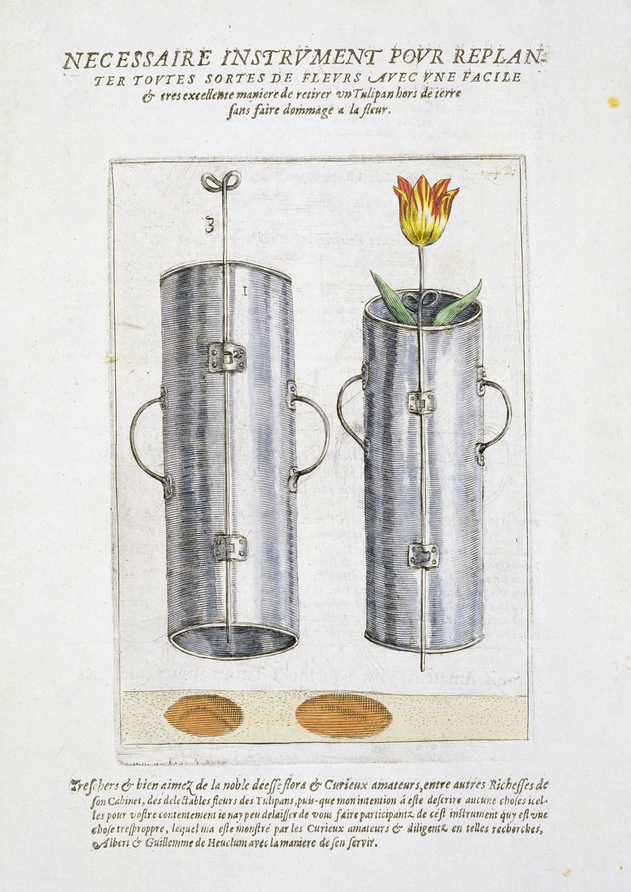 Gerät zum Umpflanzen von Blumen, aus 