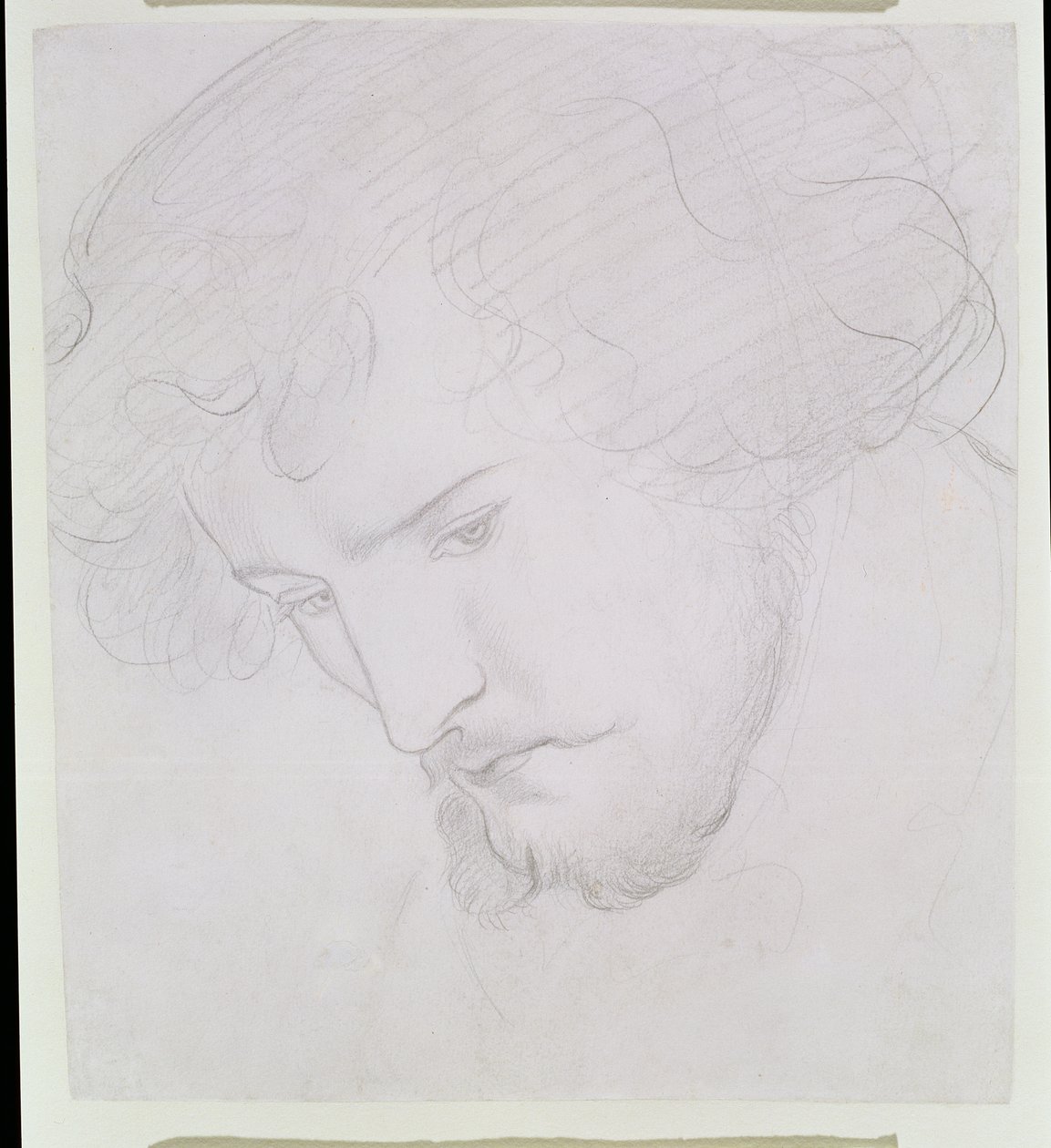 Der Same Davids - Studie für David, 1859-1862 von Dante Gabriel Charles Rossetti