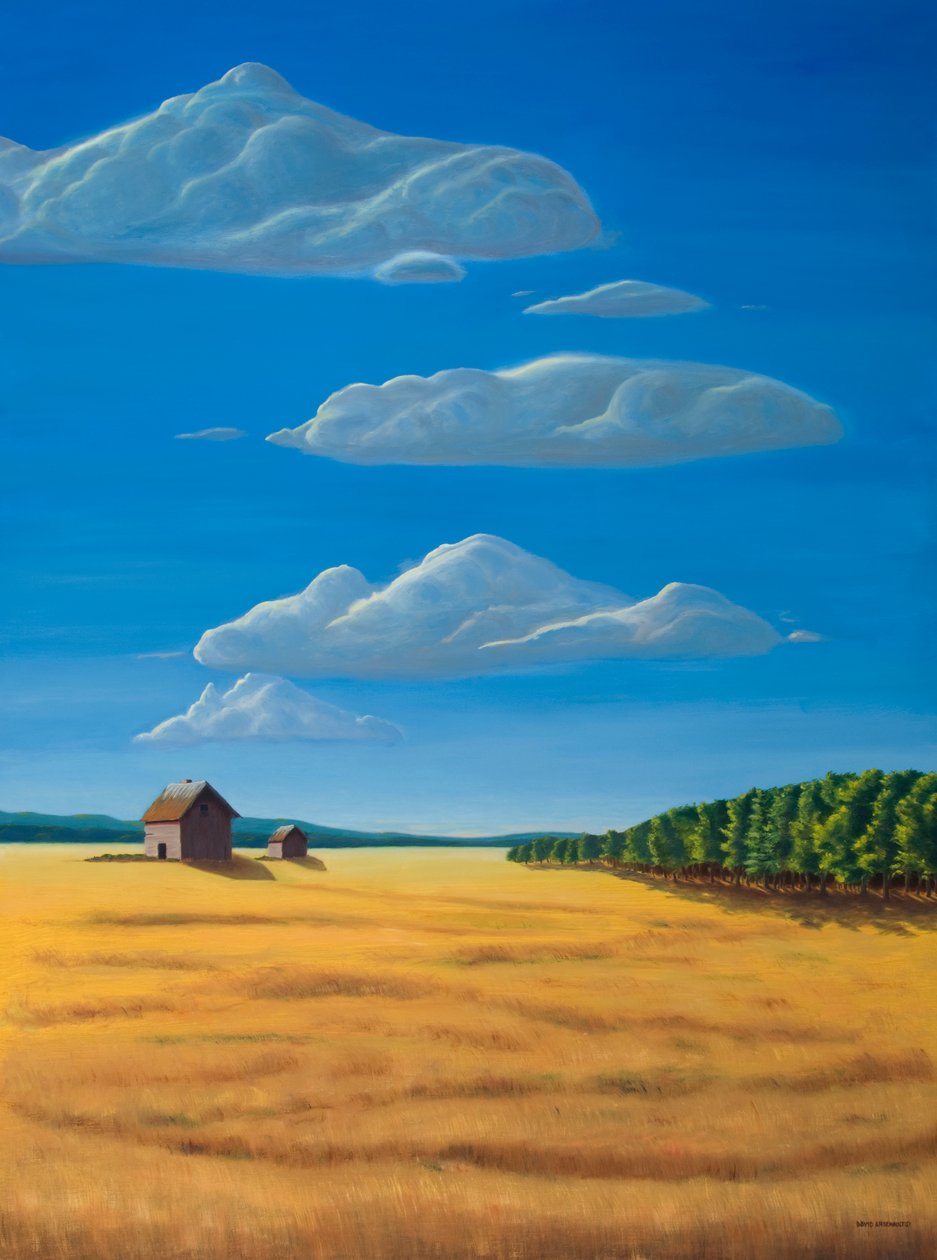 Herausragend auf ihrem Feld, 2009 von David Arsenault