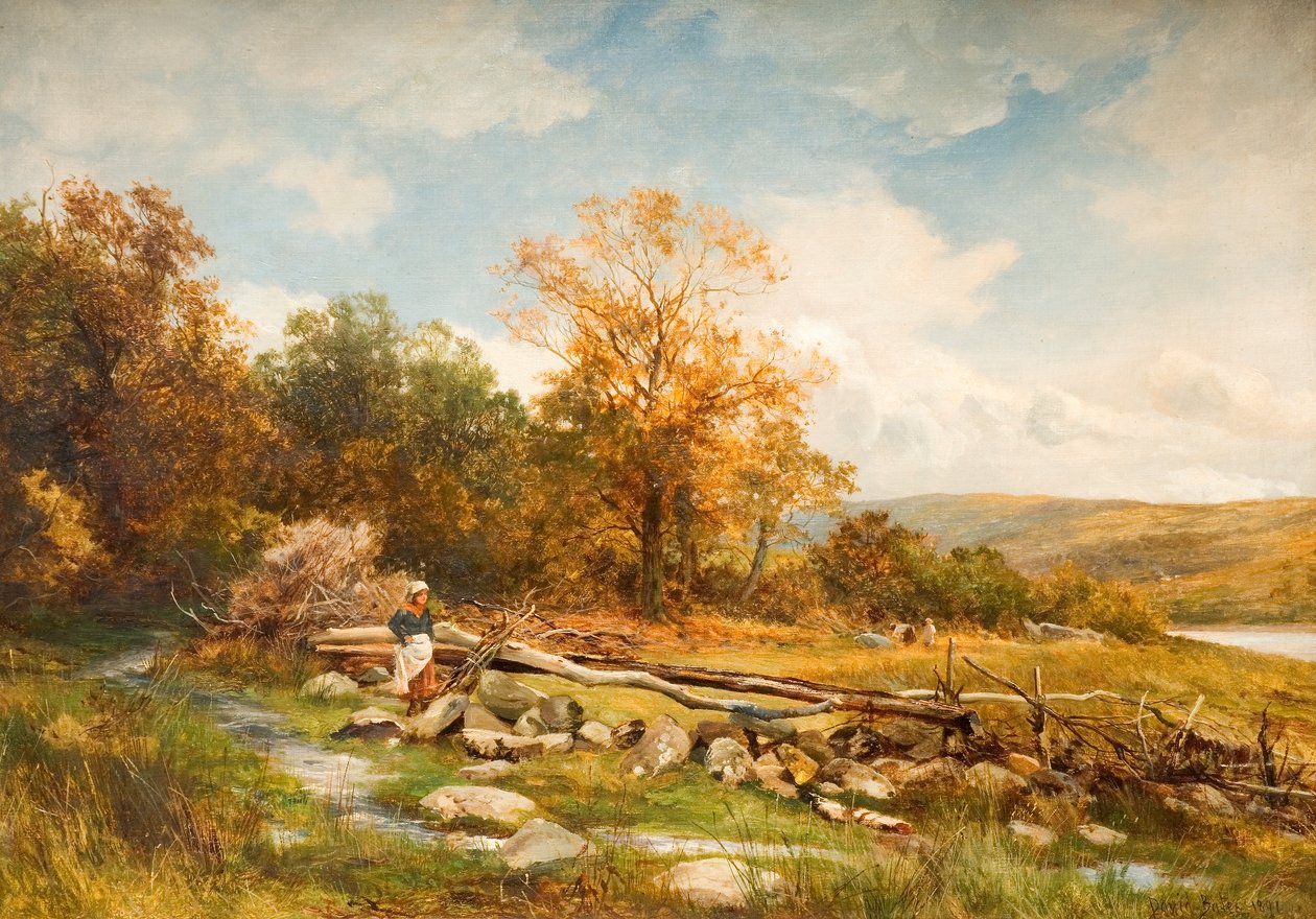 Gezeitenzaun am Fluss Conwy in Bachlediog, 1891 von David Bates