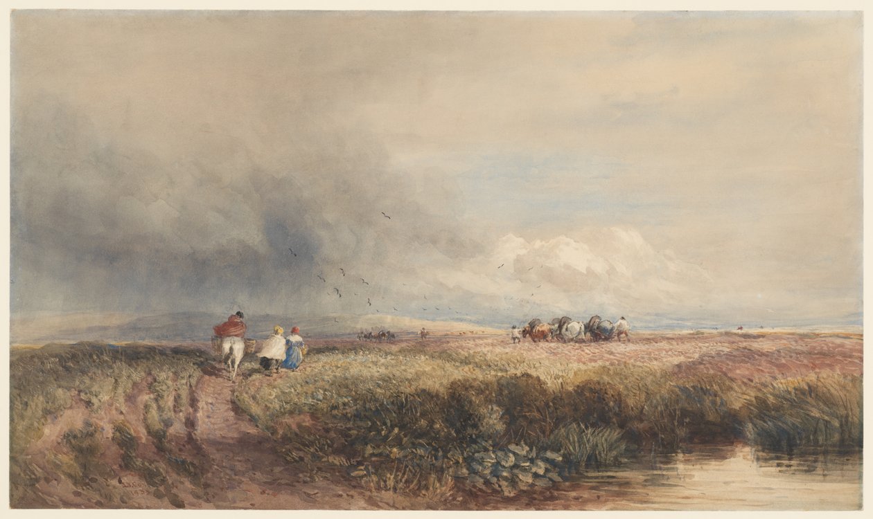 Heimreise von David Cox