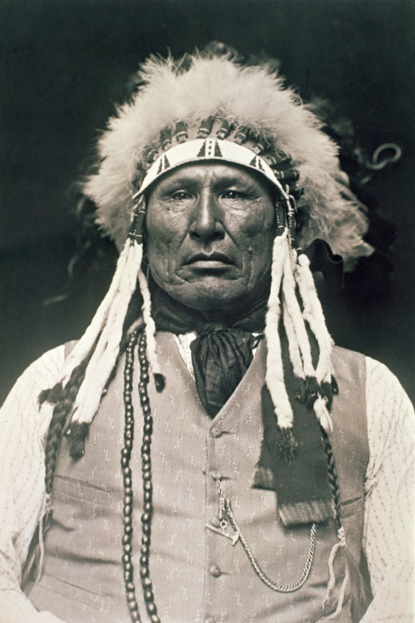 Wooden Leg, Krieger der Northern Cheyenne, der 1876 in der Schlacht am Little Bighorn kämpfte von DeLancey W. Gill