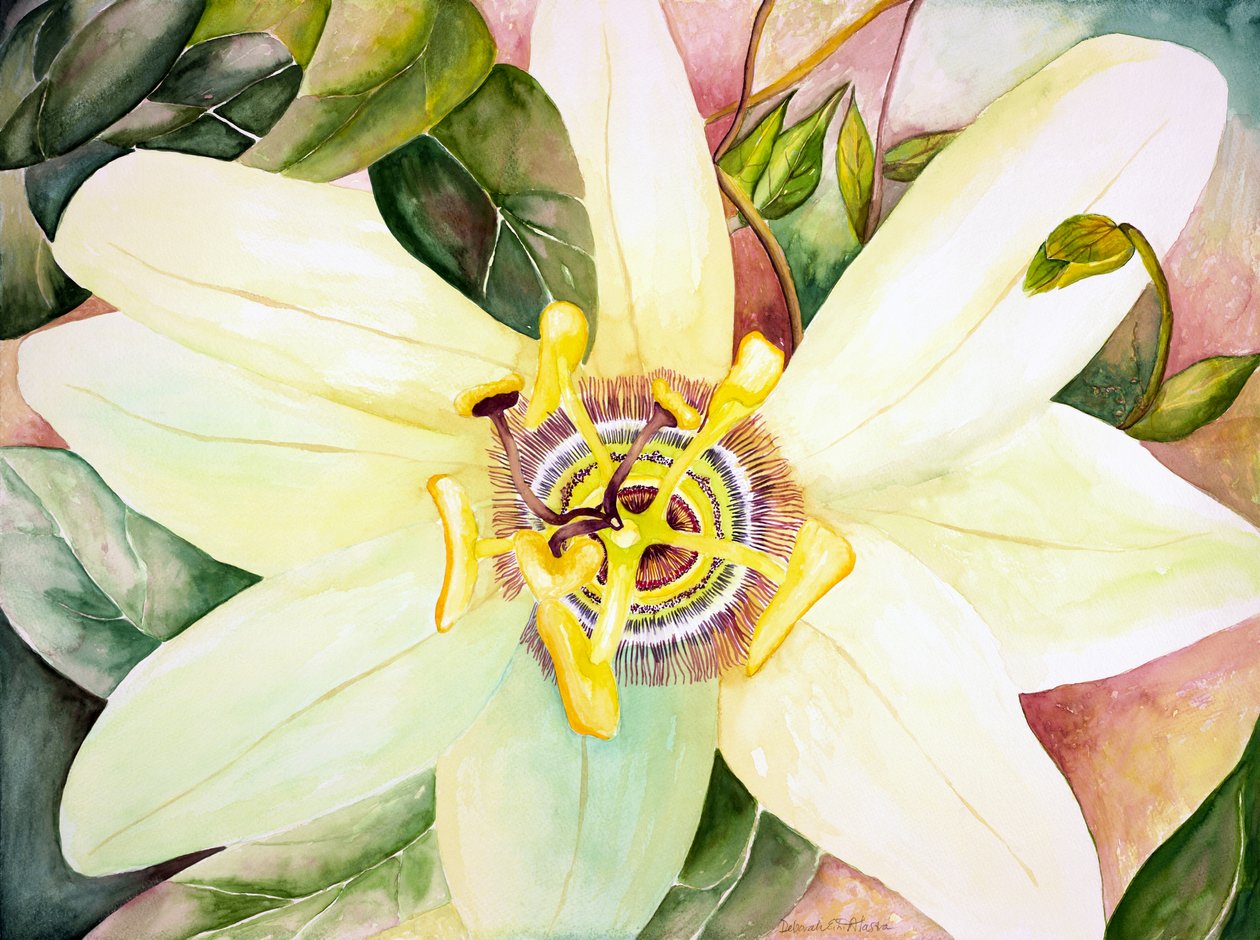 Passionsblume, 2007 von Deborah Eve Alastra