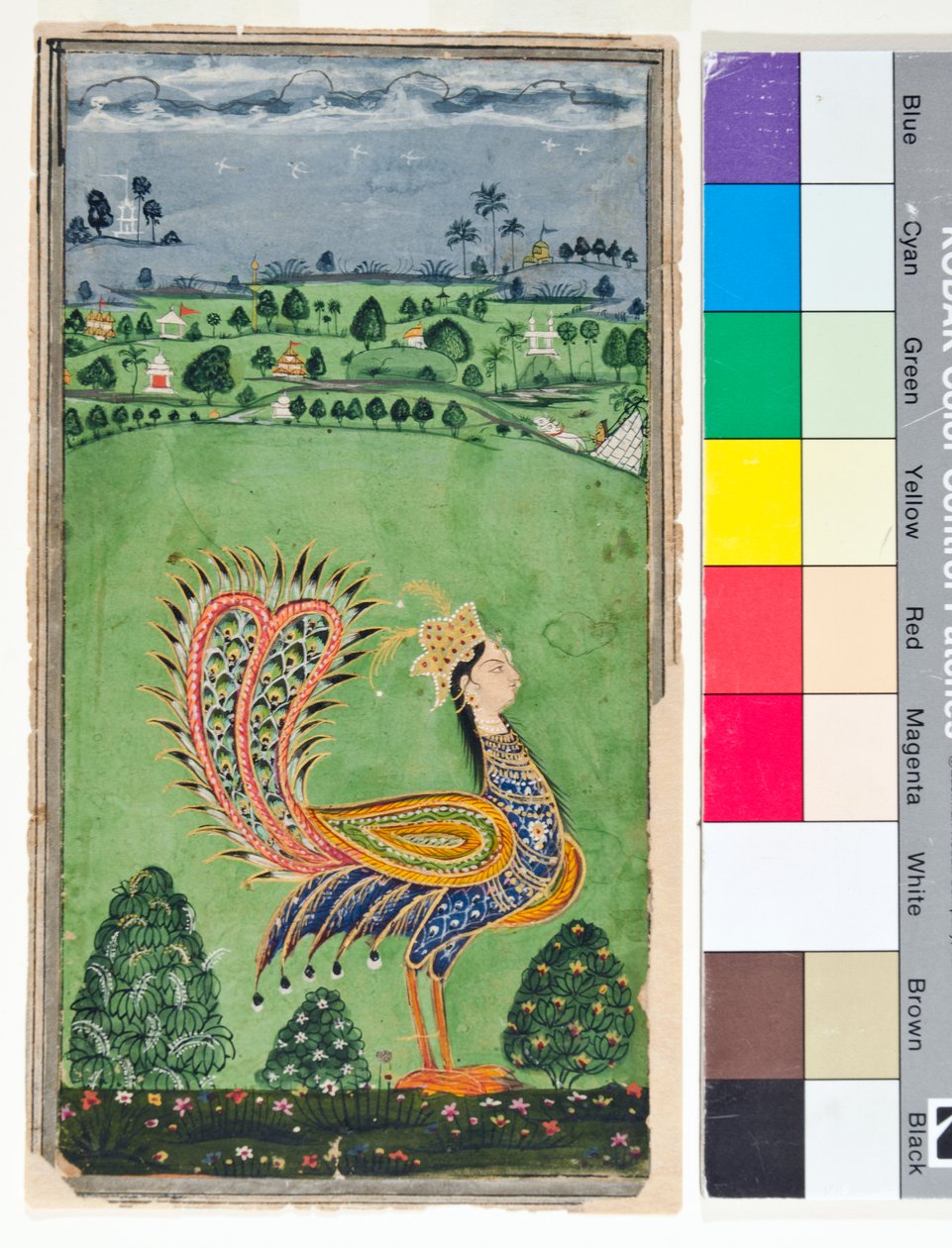 Mythischer Pfau mit einem Frauenkopf von Deccani School