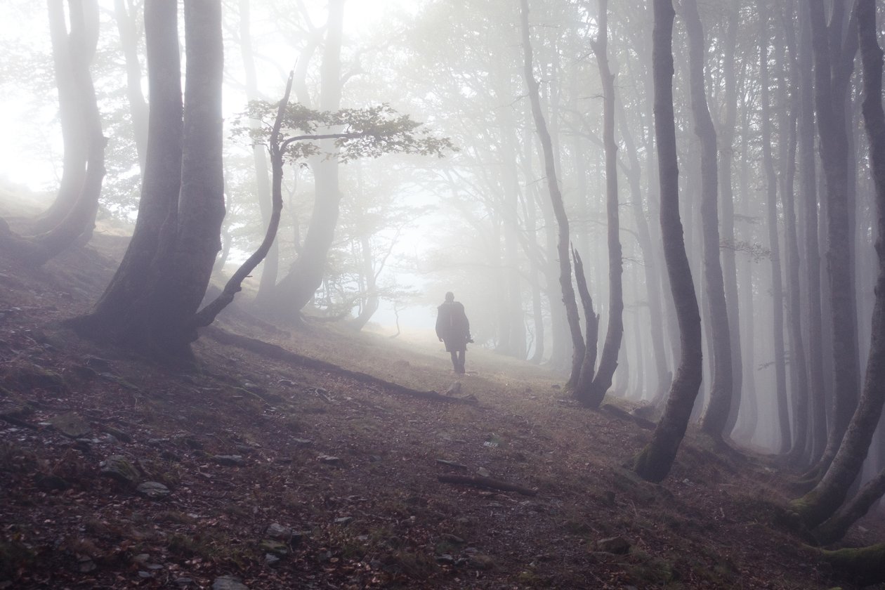 Weg nach Roncesvalles mit Pilger von Diego Beyro