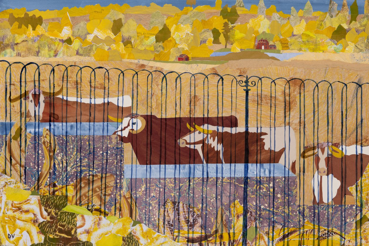 Durstige Longhorns, heißer Sommer von Dione Verulam