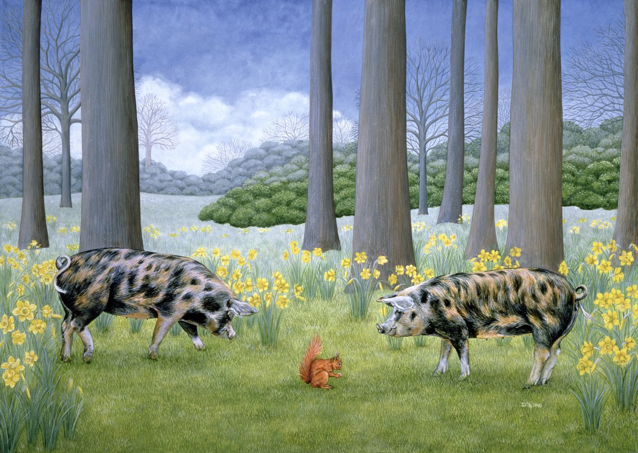 Schweinchen in der Mitte von Ditz: hochwertiger Kunstdruck