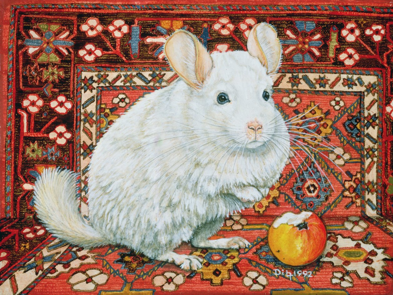 Der Teppich-Chinchilla, 1992 von Ditz: Kunstdruck kaufen