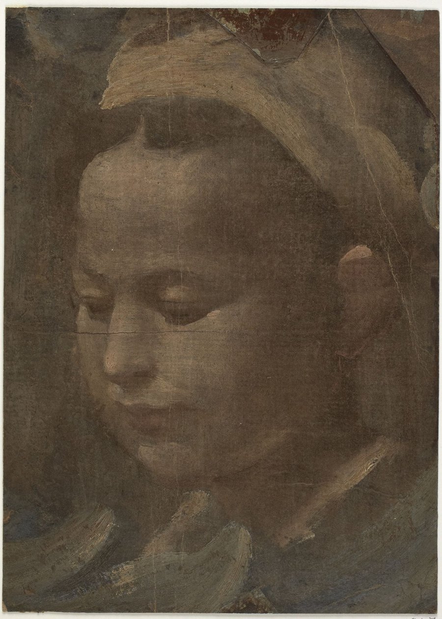Kopf einer jungen Frau von Domenico Beccafumi