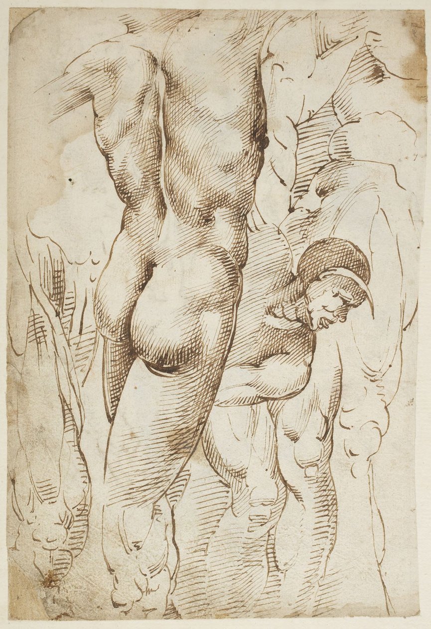 Studien von Beinen und männlichen Akten von Domenico Beccafumi