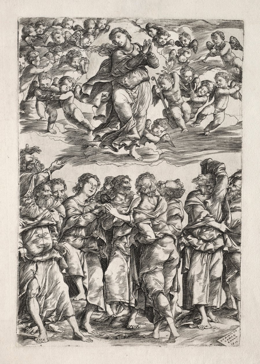 Die Himmelfahrt der Jungfrau, 1517 von Domenico Campagnola