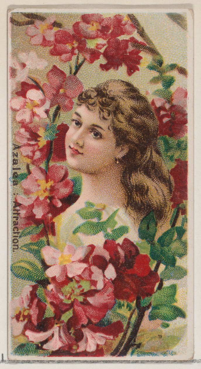 Azalee: Anziehung, aus der Serie Blumenschönheiten und Blumensprache N75 für Duke, 1892 von Donaldson Brothers