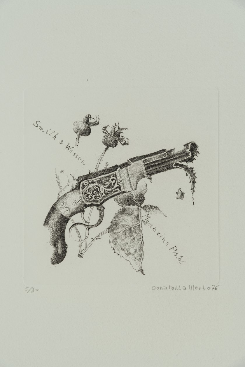 Smith und Wesson Magazinpistole von Donatella Merlo