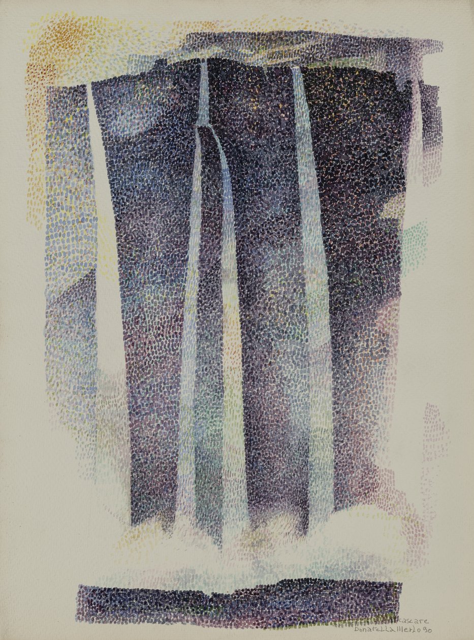 Wasserfälle (Argentinien) von Donatella Merlo