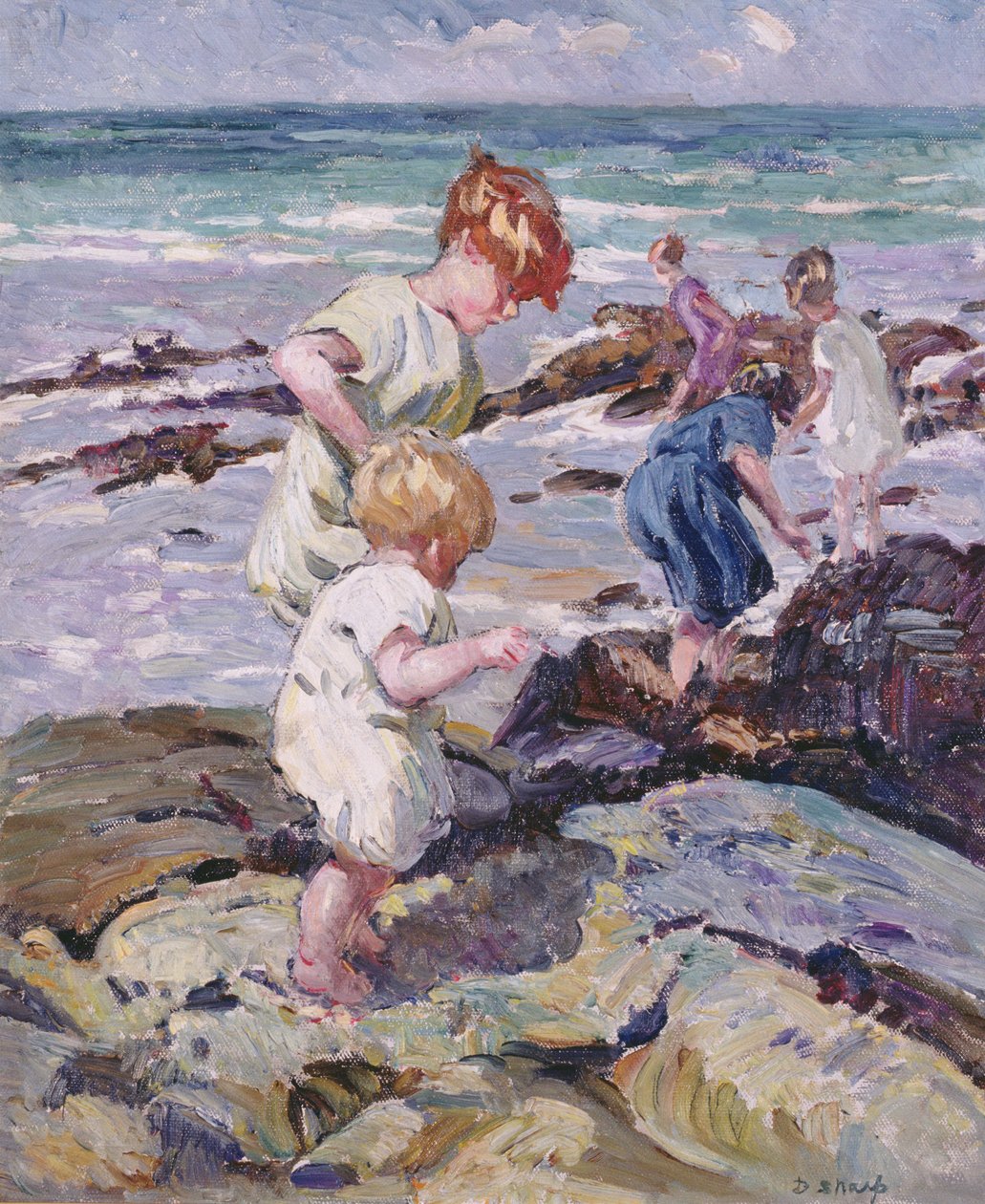 Junge Entdecker von Dorothea Sharp