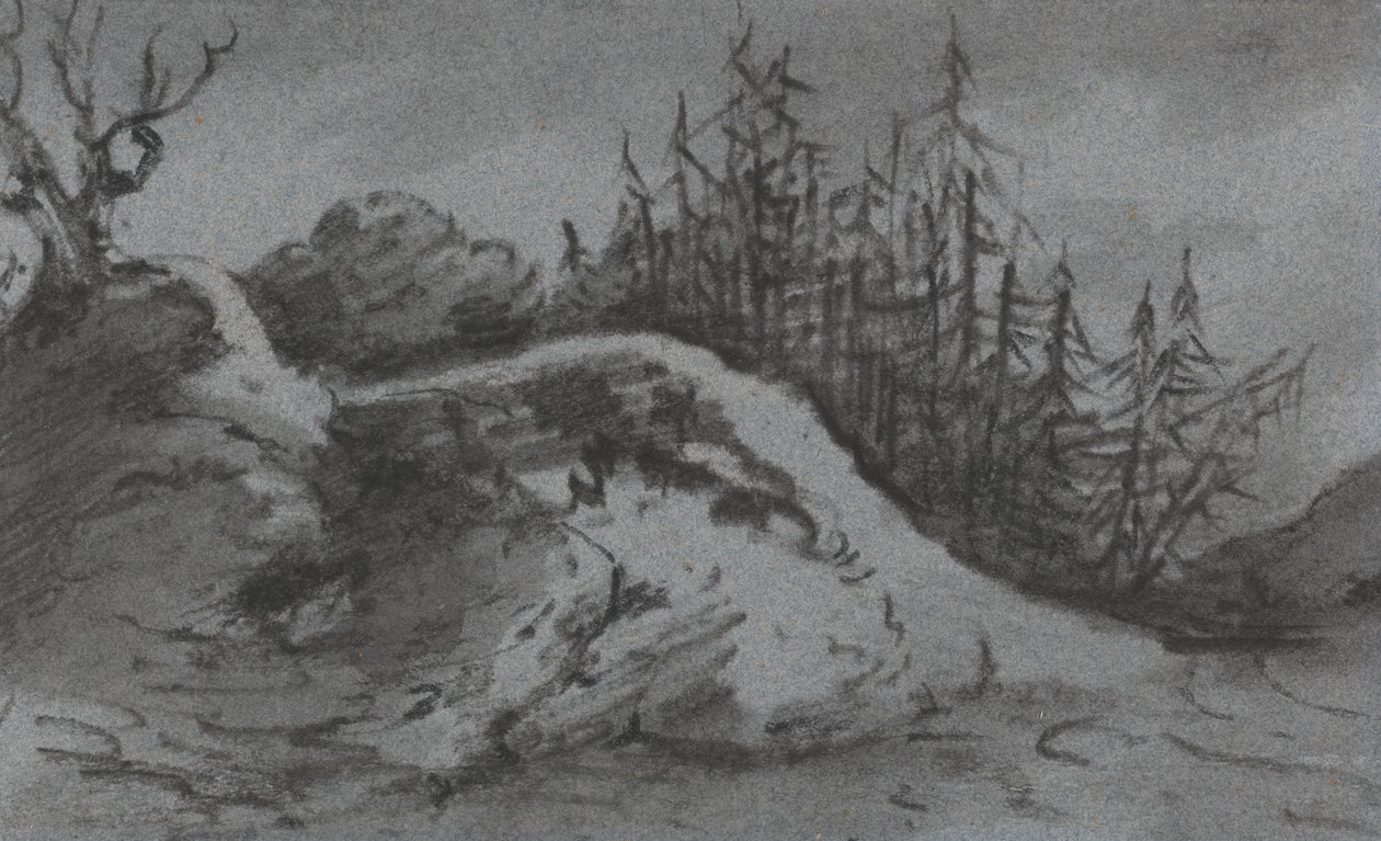 Komposition aus Felsen und Kiefern von Dr. Thomas Monro
