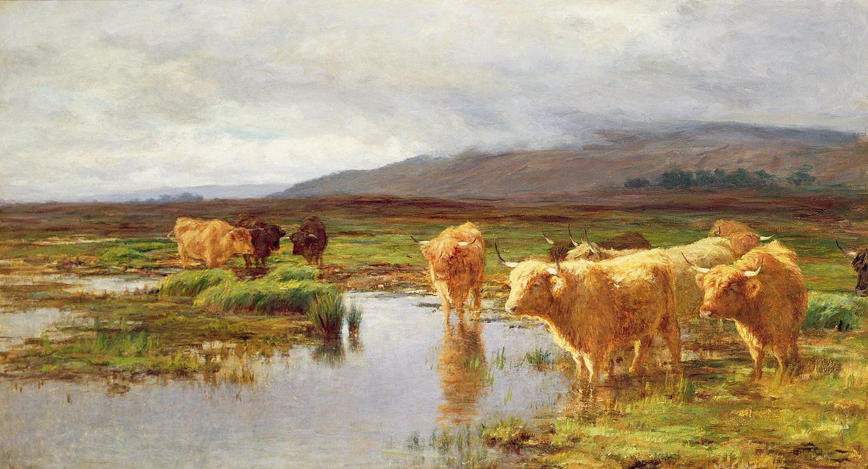 Moorlandschaften und Nebel von Duncan McLaurin