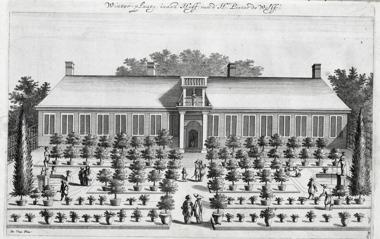 Holländischer Garten, aus De Nederlandze Hesperides von Jan Commelin, veröffentlicht 1676 von Dutch School