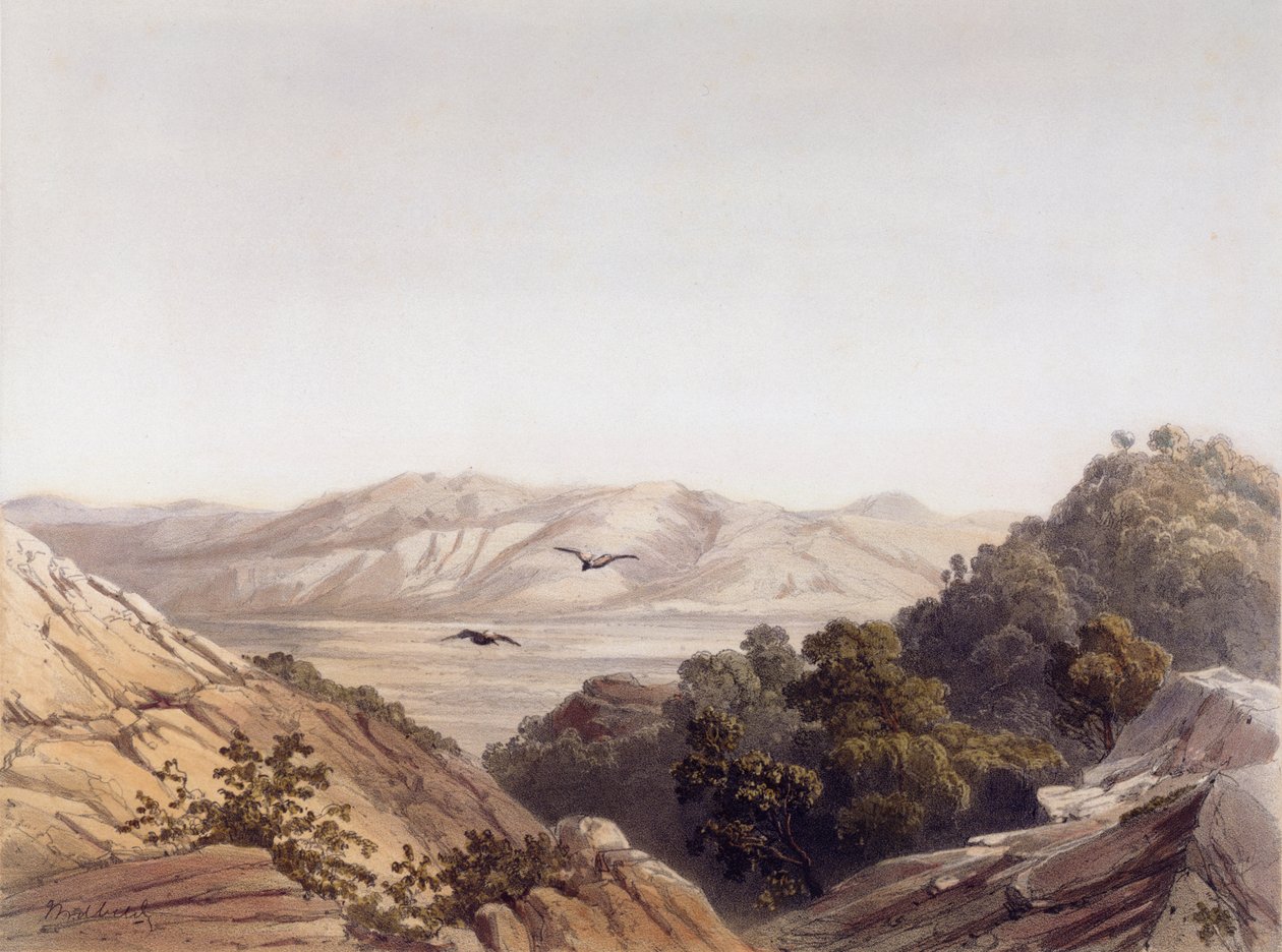 Berg Karmel, Israel, graviert von L. A. Sabatier von Dutch School