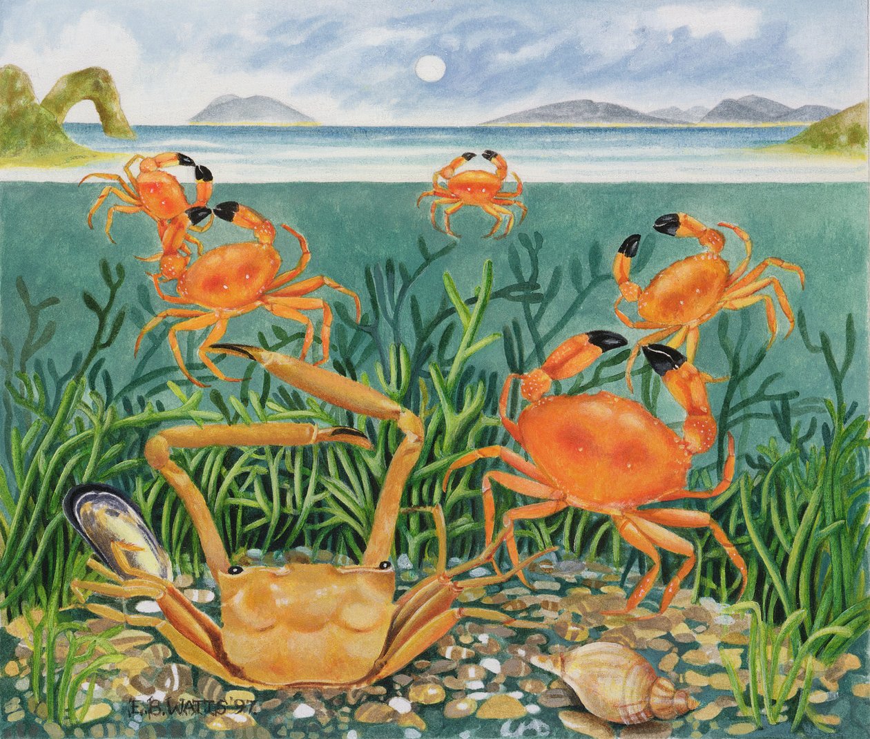 Krabben im Ozean, 1997 von E.B. Watts