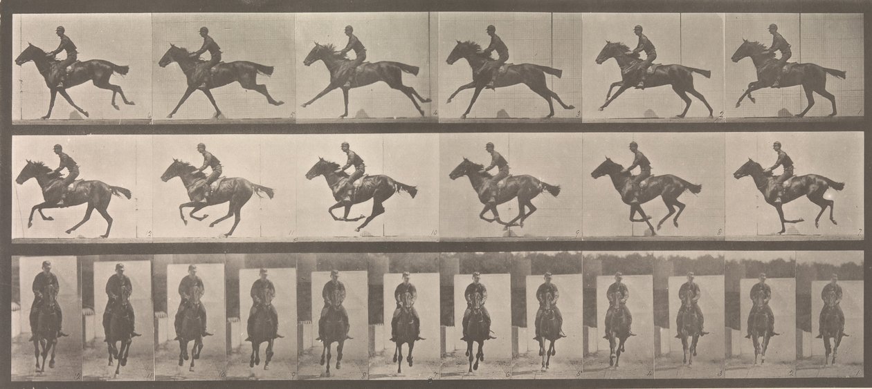 [Pferd und Reiter im Galopp], 1883-86, gedruckt 1887 von Eadweard Muybridge