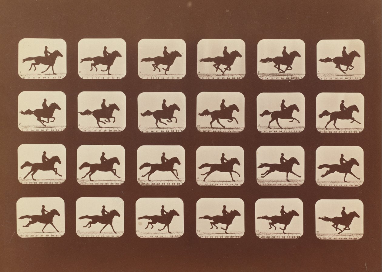 Pferde. Laufen. Phyrne L. Nr. 40, 1879 von Eadweard Muybridge