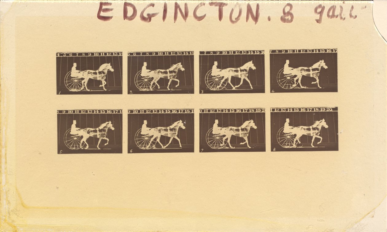 Internegativ für Pferde. Trabend. Abe Edgington. Nr. 28, 1878 von Eadweard Muybridge