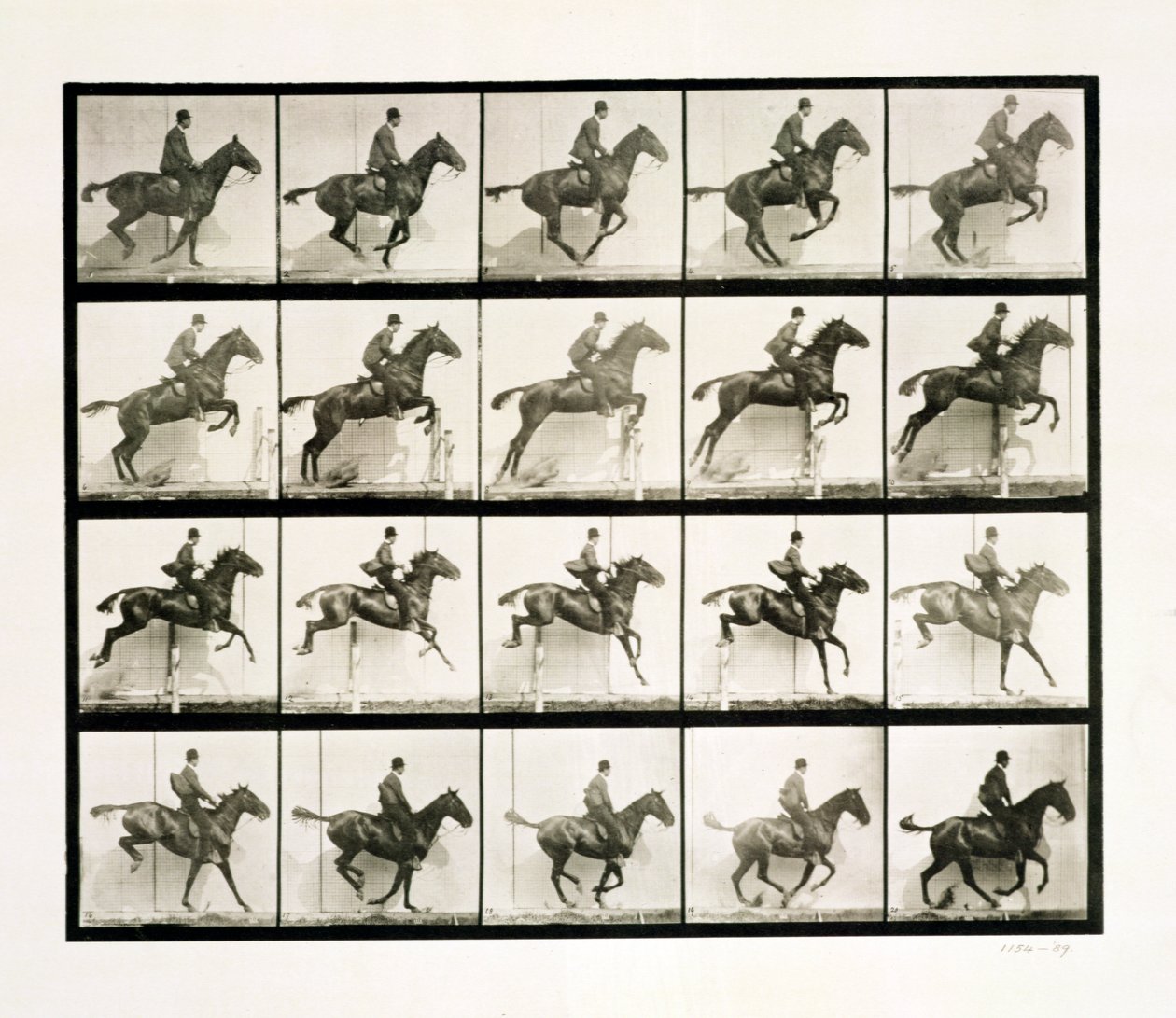 Mann und Pferd springen über einen Zaun, 1887 von Eadweard Muybridge