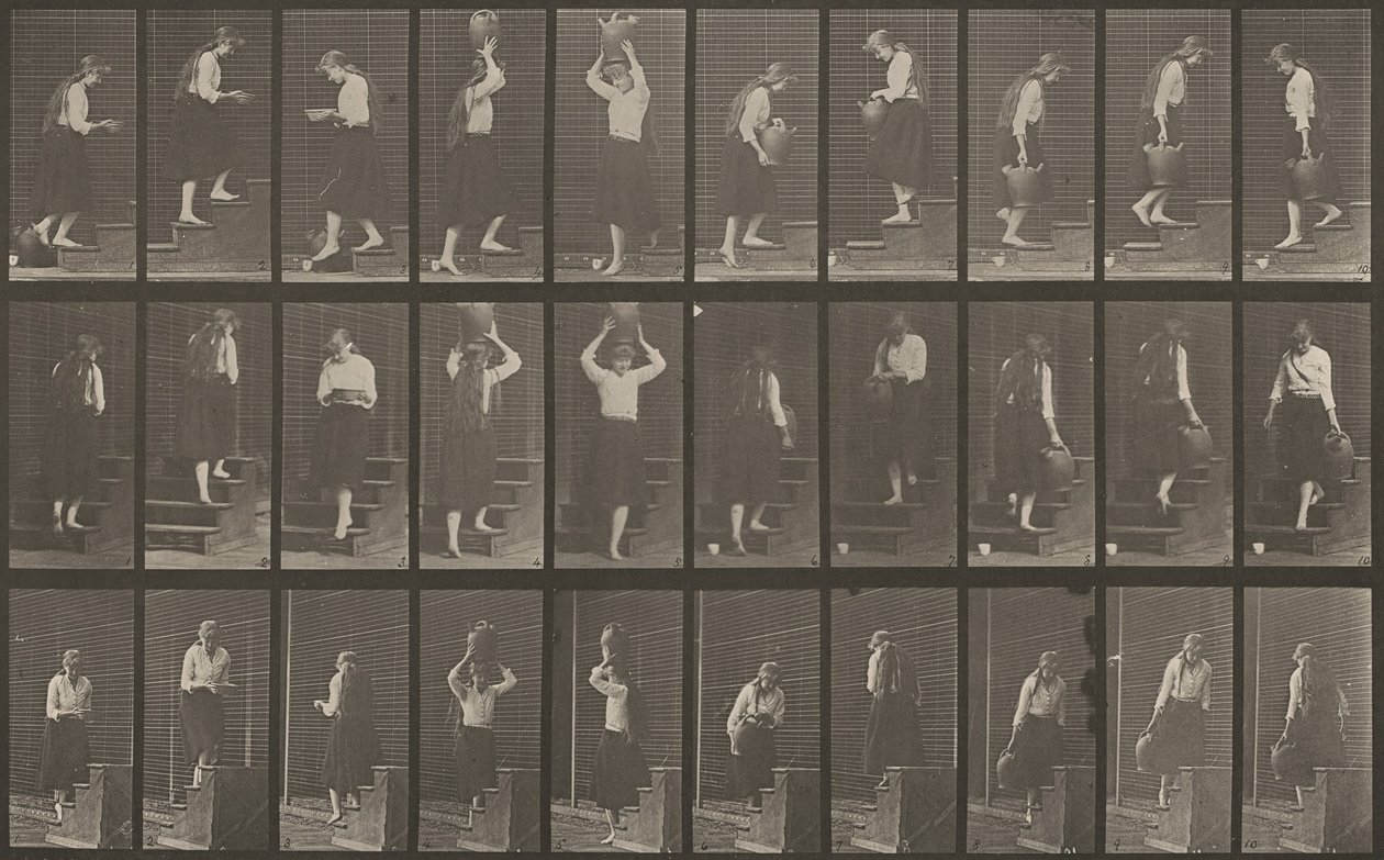 Teller Nummer 504. Auf- und absteigende Treppen von Eadweard Muybridge
