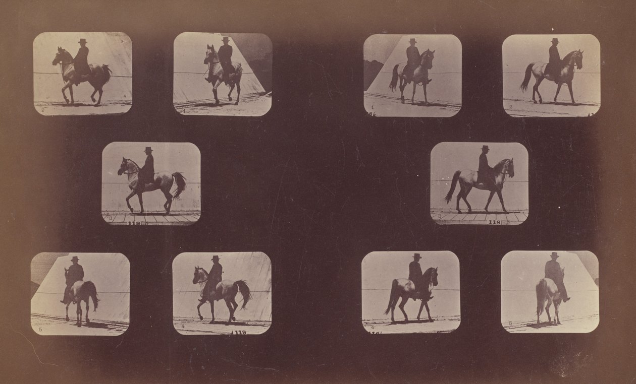 Studien von Verkürzungen. Pferde. Gehen. Mahomet. Nr. 119-120, 1879 von Eadweard Muybridge